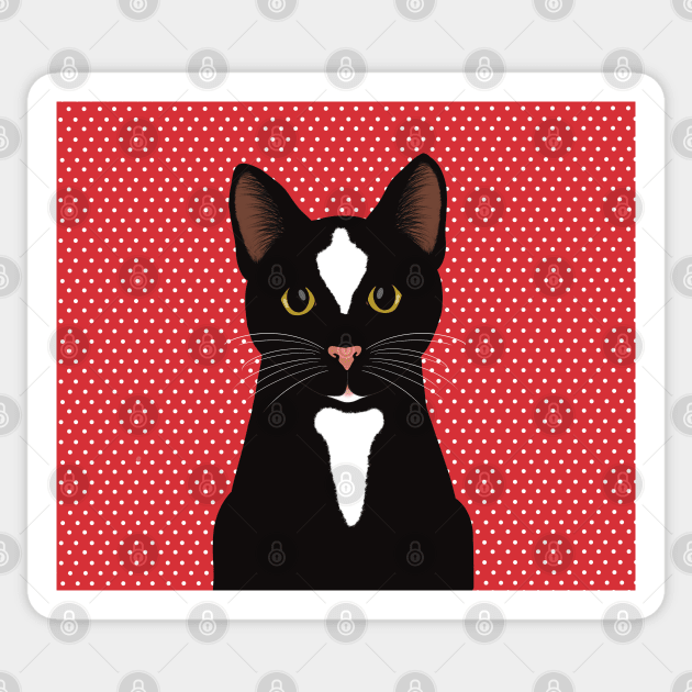 The cute and alert black and  white cat is waiting and watching you , red and white dotted background Sticker by marina63